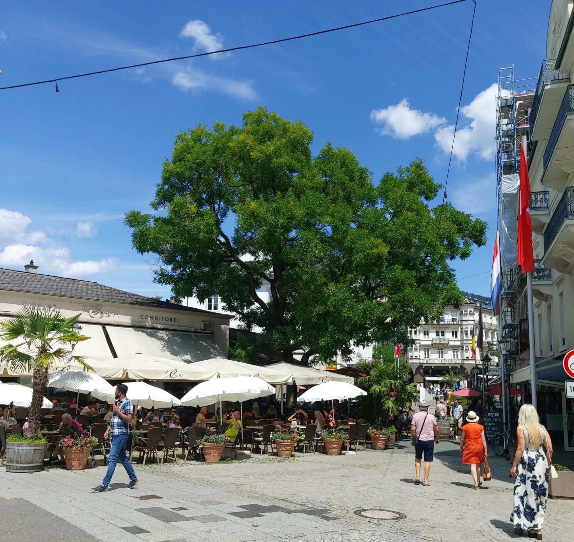 Gemuetliches J&L Apartment Nahe Des Hauptbahnhofes Baden-Baden Eksteriør bilde